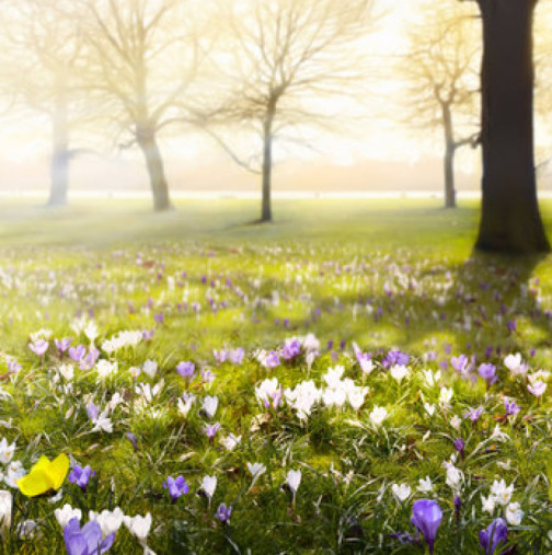 Хороскоп за сряда 4 март 2026 г.