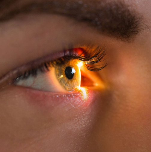 Тази храна е феноменална за здравето на очите