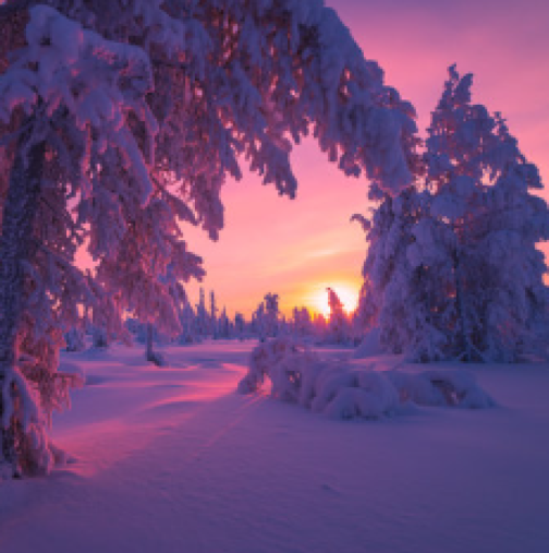 Хороскоп за 5 февруари 2026 г.