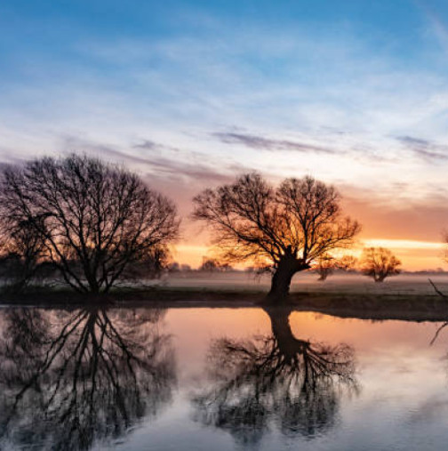 Хороскоп за днес 8 февруари 2026 г.
