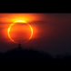 Огнен пръстен в небето на Водолей: Как затъмнението на 17 февруари 2026 г. ще преобърне реалността ви 