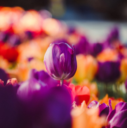 ПЪЛНИЯТ седмичен хороскоп от 9 до 15 март 2026