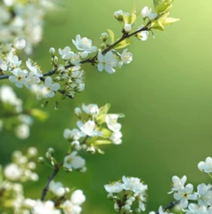 Хороскоп за сряда 25 март 2026 г.