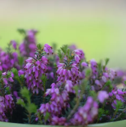 Хороскоп за днес 16 март 2026 г.