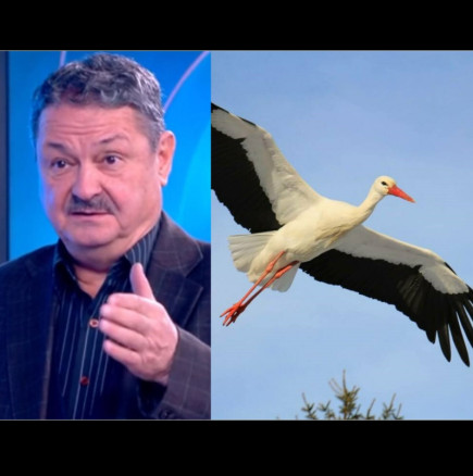 Проф.Рачев в прогнозата тази сутрин: Щъркелите могат да идват!