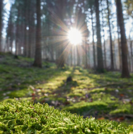 Седмичен хороскоп за периода от 23 до 29 март 2026 г.