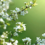 Хороскоп за сряда 25 март 2026 г.