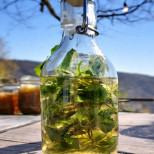 КОПРИВАТА В РАКИЯ е по-силна от всяко лекарство, казваше дядо ми: Запомни тази рецепта до края на живота си!