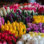 Хороскоп за понеделник 9 март 2026 г.