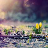 Хороскоп за вторник 24 март 2026 г.