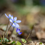 Хороскоп за понеделник 23 март 2026 г.