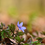 ГОЛЕМИЯТ седмичен хороскоп от 30 март до 5 април: 