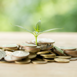 Парите ще „се лепят“ за 2 зодии: от пролетта ги очаква период без финансови притеснения