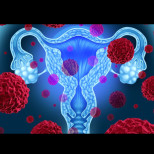 Този хормон е безшумен показател за женската плодовитост: Дали една жена все още може да ражда зависи от неговото количество