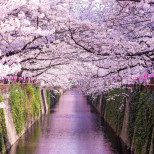 Хороскоп за сряда 1 април 2026 г. 