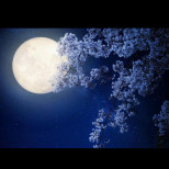 СЕЛЕНА идва! ТЪМНИНАТА ще замени СВЕТЛИНАТА! Какво носи БЯЛАТА ЛУНА от 13 март до 12 октомври и кой е роден в нея?