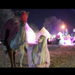 Владетелят на Дубай има 26 деца, но само на НЕЯ е позволено ВСИЧКО: Необичайният живот на принцесата, която се разведе в Instagram