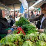 Появи се обезпокоителен доклад: Бягайте от този зеленчук като дявола от тамян