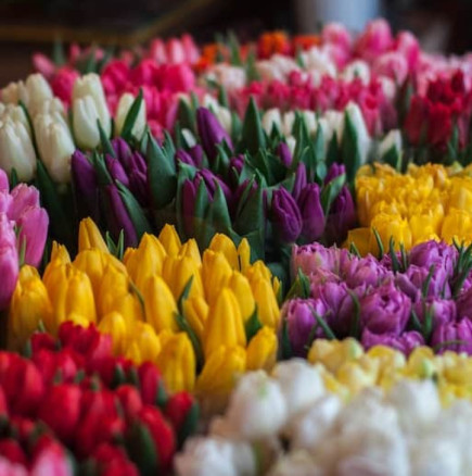 Хороскоп за понеделник 9 март 2026 г.