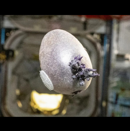 Астронавт сподели снимка на обект от космическата станция: Знаете ли какво е това?