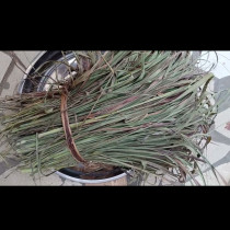 Прясна е полезна, но сушена е истинско съкровище! Сварете чай от тази билка - пречиства кръвта и тялото, елиминира раковите клетки