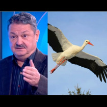 Проф.Рачев в прогнозата тази сутрин: Щъркелите могат да идват!