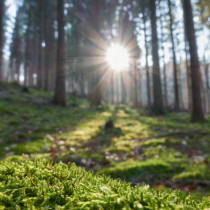 Седмичен хороскоп за периода от 23 до 29 март 2026 г.