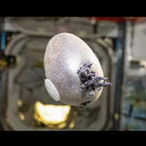 Астронавт сподели снимка на обект от космическата станция: Знаете ли какво е това?