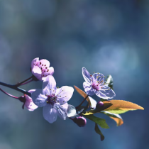 Седмичен хороскоп за периода от 16 до 22 март 2026 г.