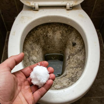 Просто го хвърлете в тоалетната и няма да е нужно да търкате НИЩО! Това е малко известен, но много полезен трик!