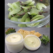 Расте във всеки заден двор, а от него правя чуден мехлем - балсам за женската кожа!