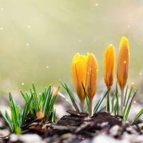 Хороскоп за днес 17 март 2026 г.