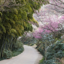 Хороскоп за петък 27 март 2026 г.