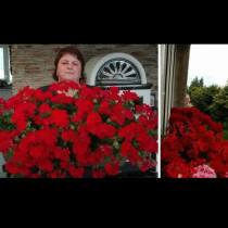 Г-жа Моника има мушката като от приказките: Тя ни разкри тайната на буйния цъфтеж, сега всеки може да го опита!