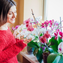 Орхидеята ми цъфти непрекъснато: Правя си собствен чудотворен тор, ето рецептата!