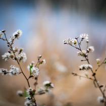 Хороскоп за вторник 31 март 2026 г.