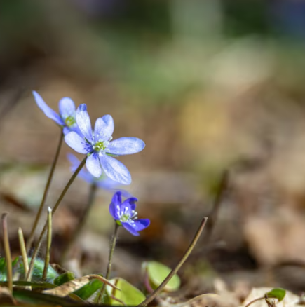 Хороскоп за понеделник 23 март 2026 г.