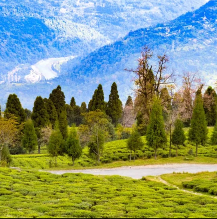 Хороскоп за сряда 18 март 2026 г.