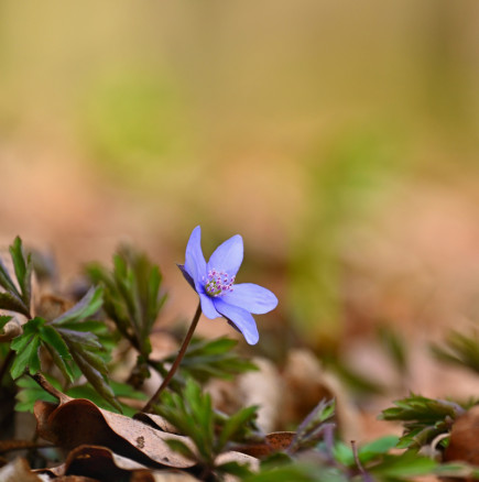 ГОЛЕМИЯТ седмичен хороскоп от 30 март до 5 април: 