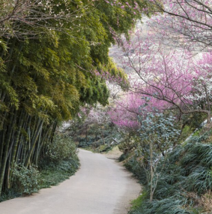 Хороскоп за петък 27 март 2026 г.