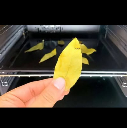 Сложете го във фурната - 20 минути са достатъчни! Скритата сила на обикновения стар дафинов лист: