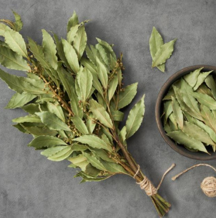 Защо трябва веднага да смесите дафинови листа и сода бикарбонат? Поставете ги във всяка стая и след 2 часа домът ви ще пее