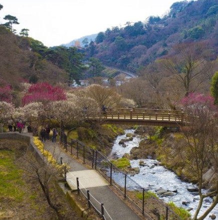 Хороскоп за четвъртък 5 март 2026 г.