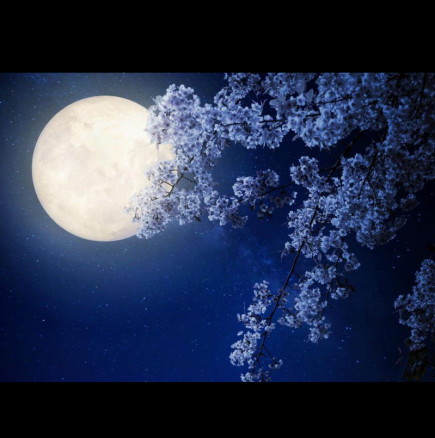 СЕЛЕНА идва! ТЪМНИНАТА ще замени СВЕТЛИНАТА! Какво носи БЯЛАТА ЛУНА от 13 март до 12 октомври и кой е роден в нея?