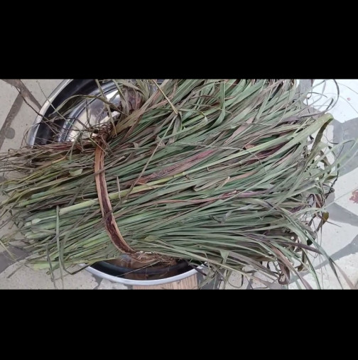 Прясна е полезна, но сушена е истинско съкровище! Сварете чай от тази билка - пречиства кръвта и тялото, елиминира раковите клетки