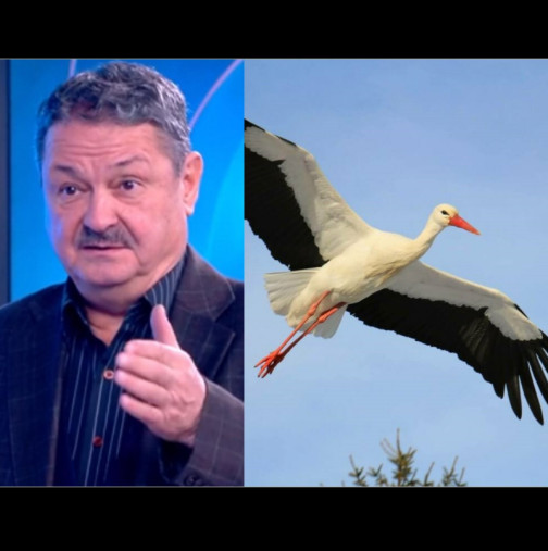 Проф.Рачев в прогнозата тази сутрин: Щъркелите могат да идват!