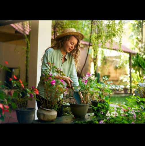 Тези грешки през март могат да съсипят градината ви: Твърде рано е за 3 вида цветя и мнозина ги засаждат и съжаляват.