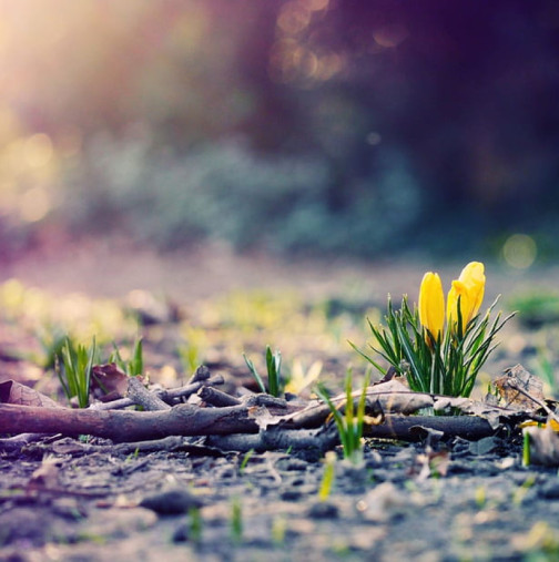 Хороскоп за вторник 24 март 2026 г.