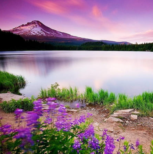 Хороскоп за четвъртък 19 март 2026 г.