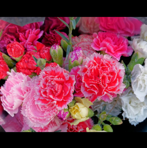 Това цвете не се подарява на жени на 8 март, тъй като се смята, че носи лош късмет